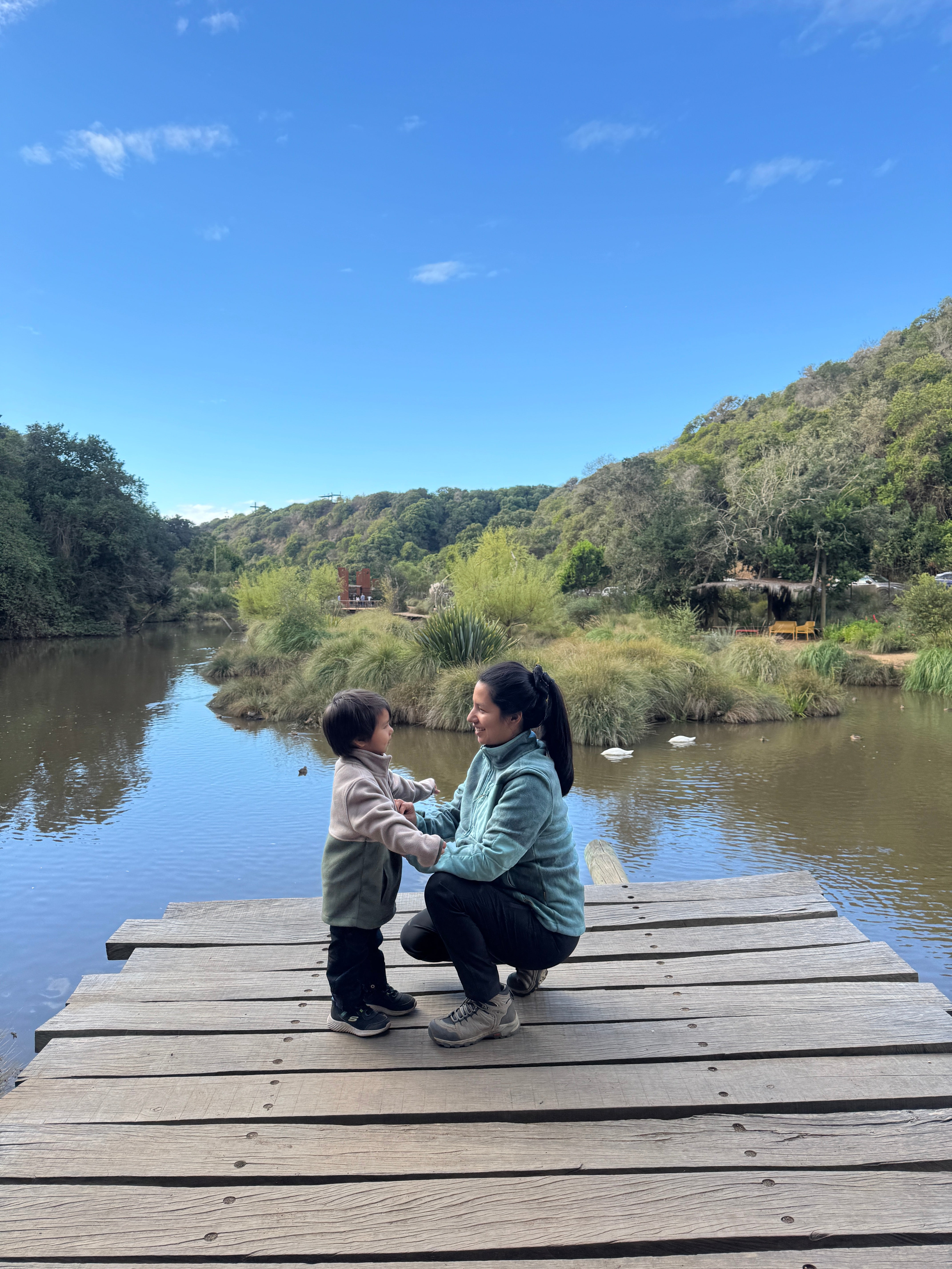 La Historia de Rosa Mamá Viajera Aventurera