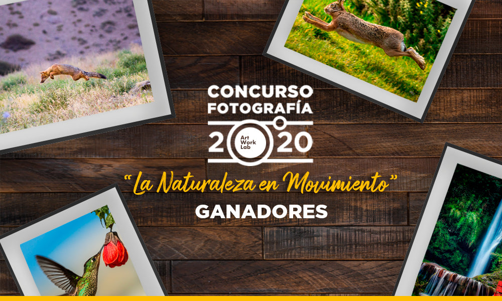GANADORES CONCURSO FOTOGRAFÍA 2020