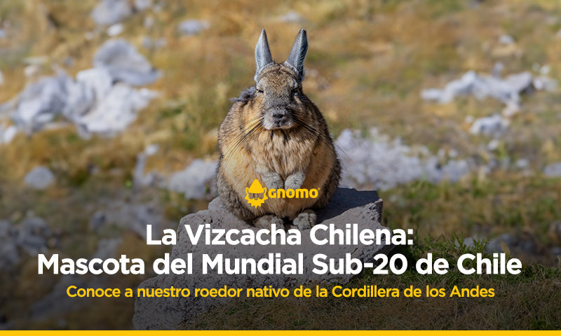 La Vizcacha chilena: Mascota del Mundial Sub-20 de Chile.