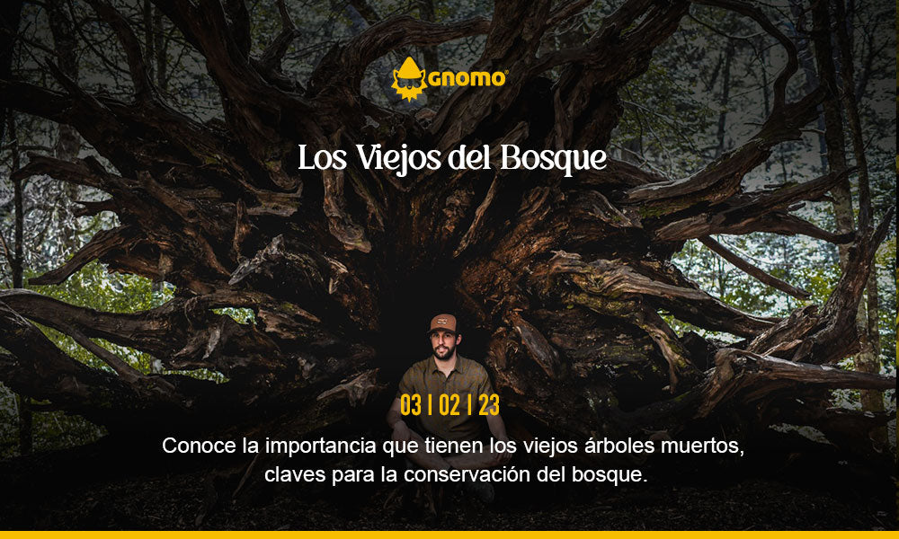 Los Viejos del Bosque