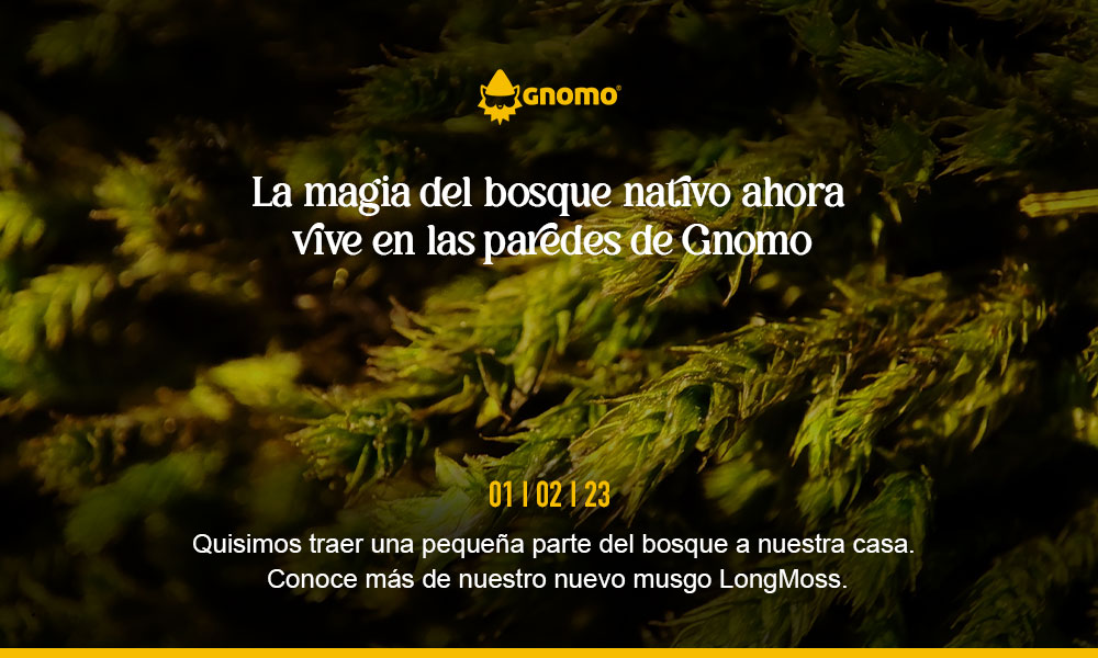 El bosque nativo crece en las paredes de Gnomo