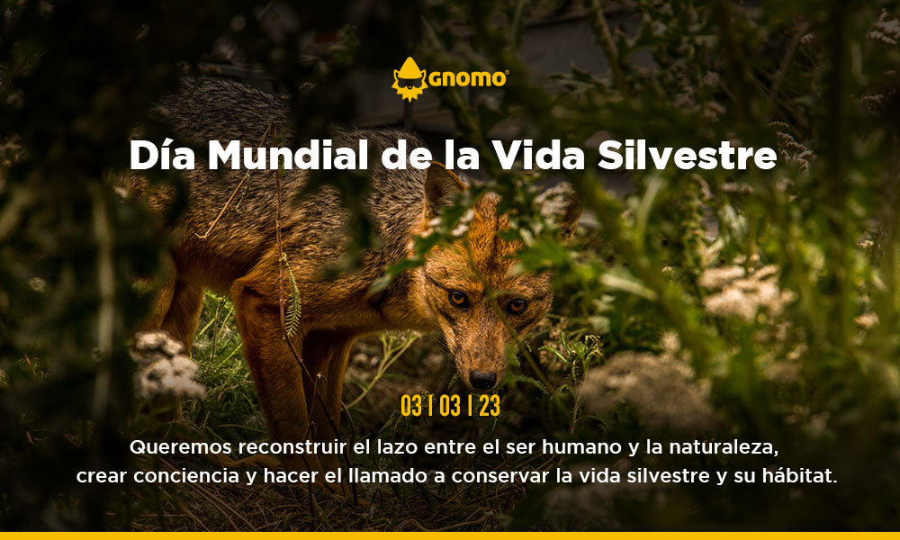 Día Mundial de la Vida Silvestre