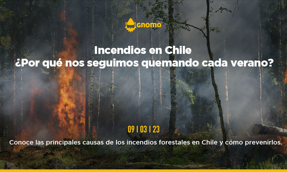 Incendios en Chile ¿Por qué nos seguimos quemando cada verano?