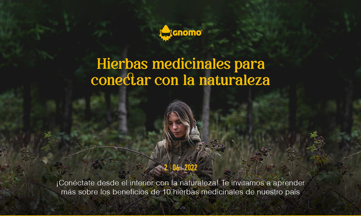 Hierbas medicinales para conectar con la naturaleza