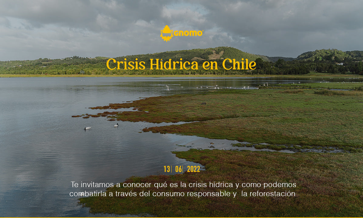 Crisis Hídrica en Chile