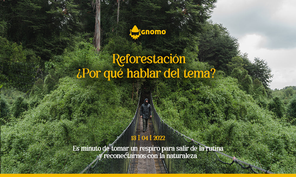 Reforestación, ¿por qué hablar del tema?