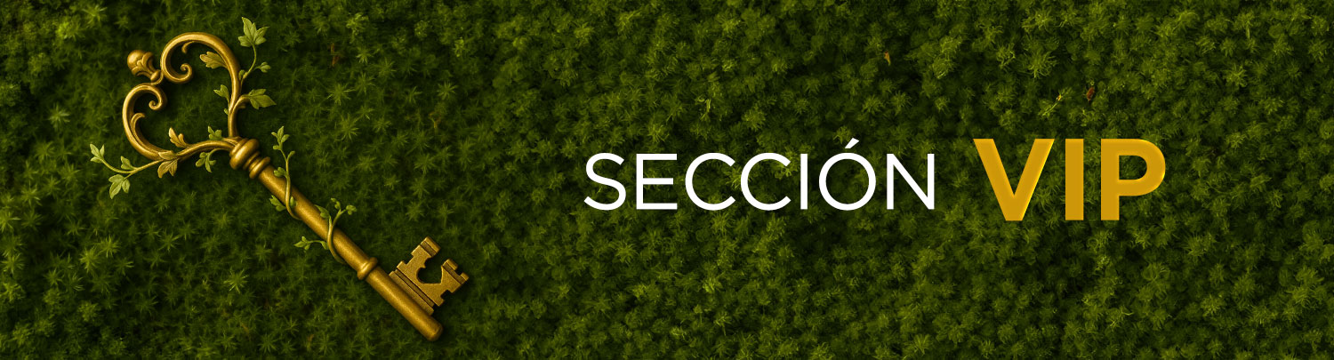 Sección VIP