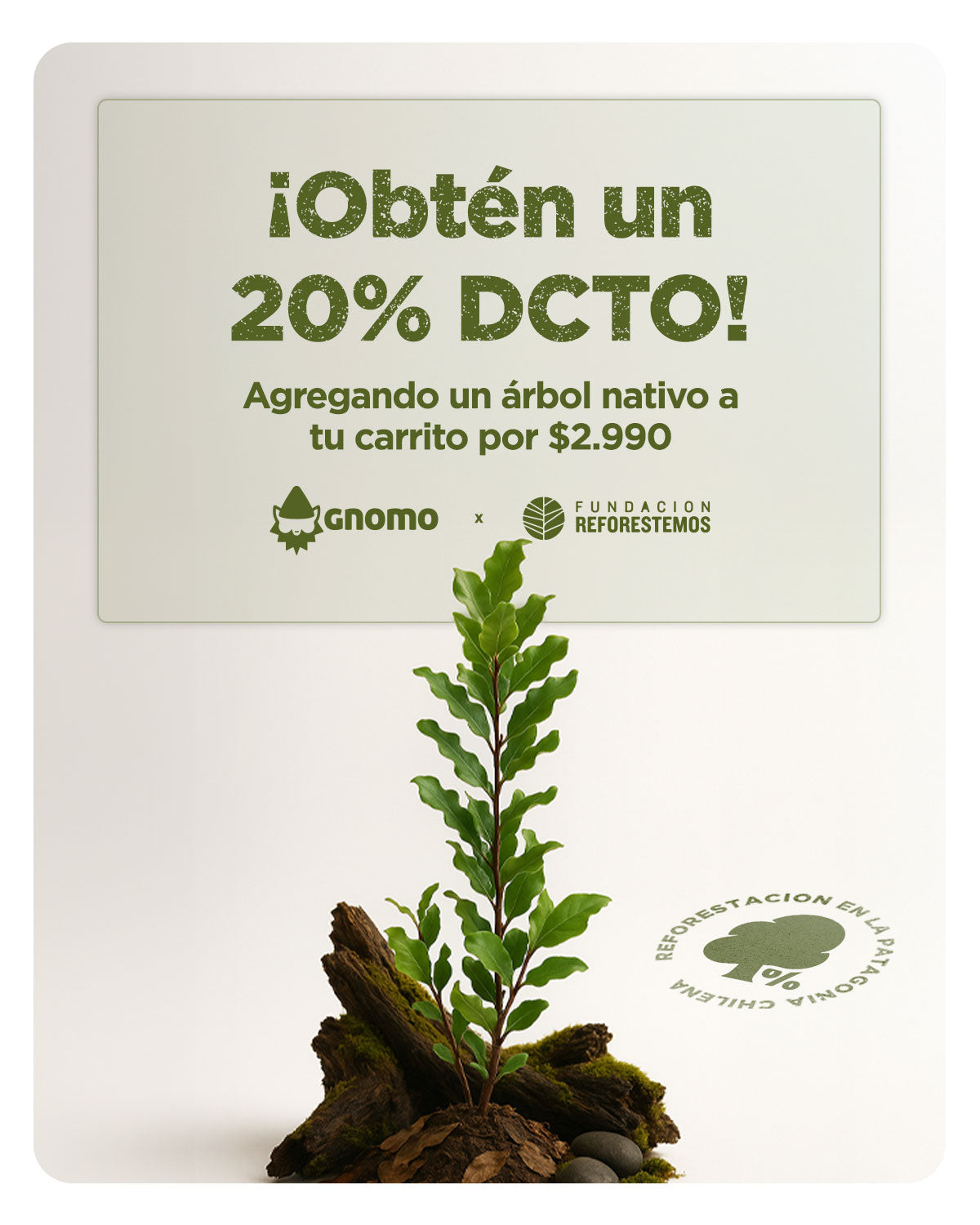 Árbol Nativo