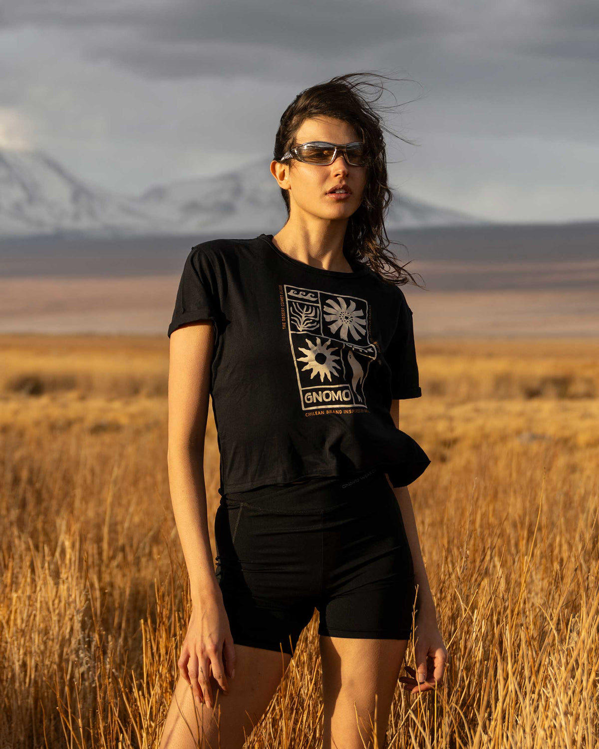 Polera Algodón F-22 Mujer