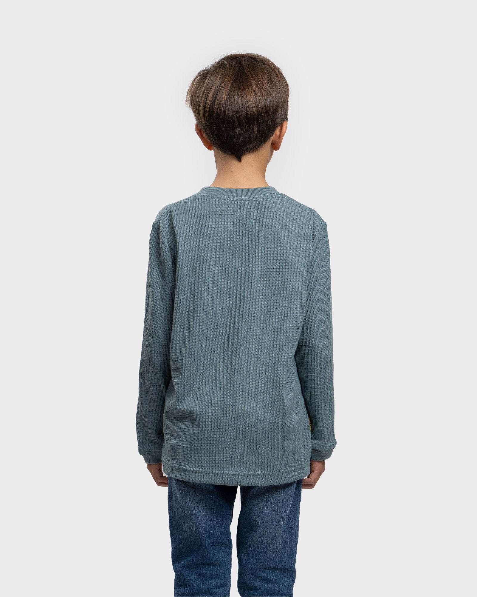 Polera Eco Manga Larga Lodlamita Kids